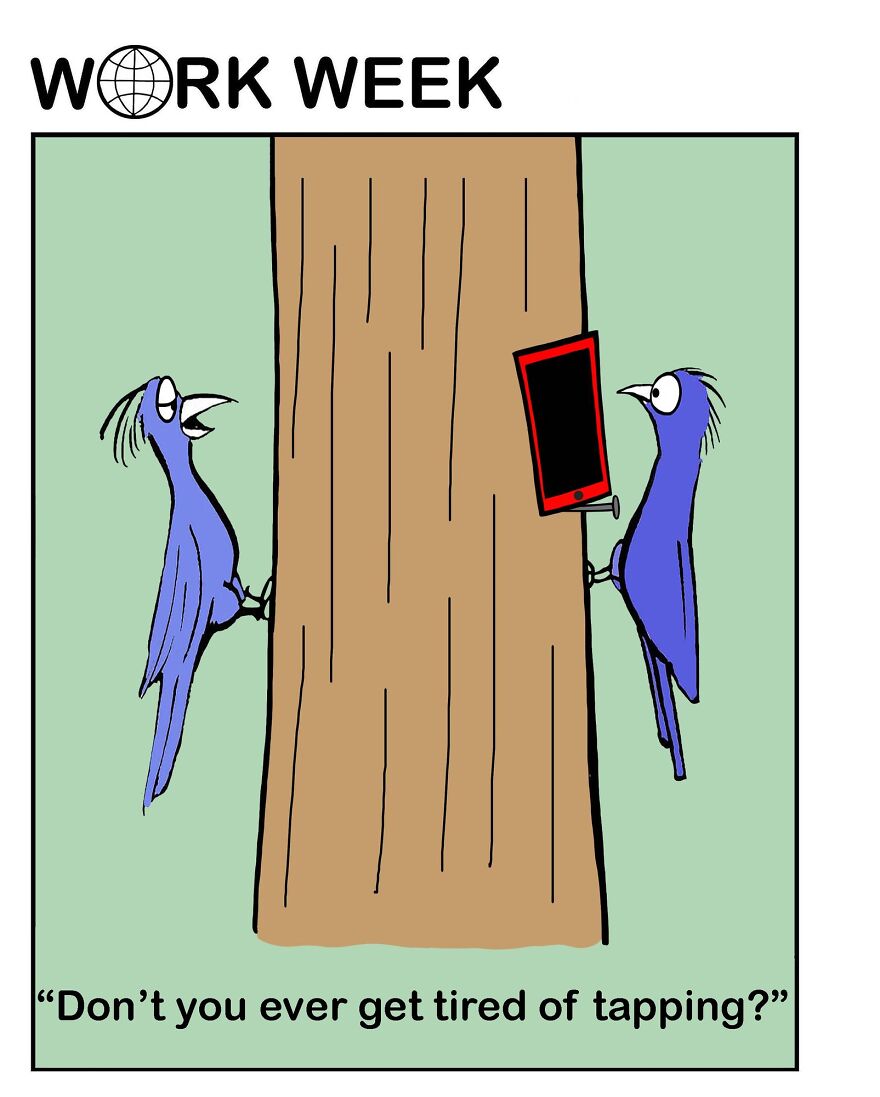 A Cartoonist Draws Cats And Dogs To Reflect On Human Behaviour [new Images]