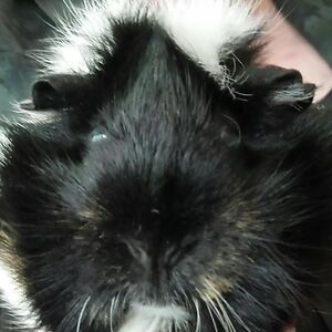 jessica-l-king avatar