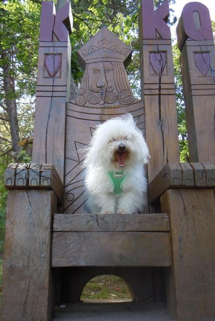 He Looks Like He’s Yelling 😂