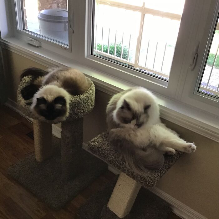 Pumpkin And Kayleigh