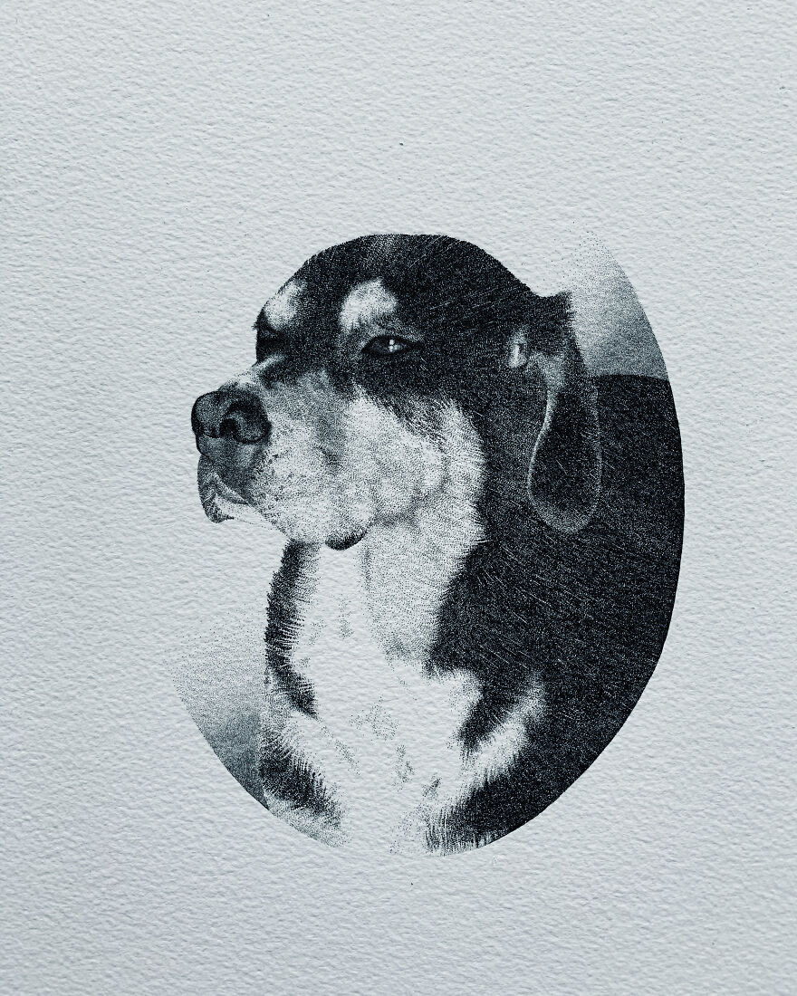 Stippling Illustrations