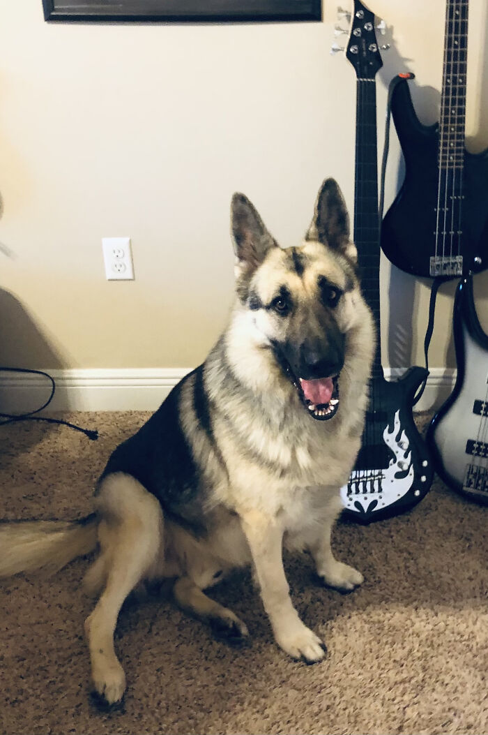 Voodoo Delacroix. Named For New Orleans.