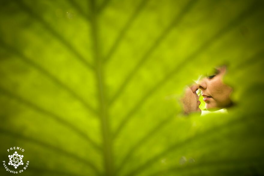 Natural Portrait By Albert Pamies