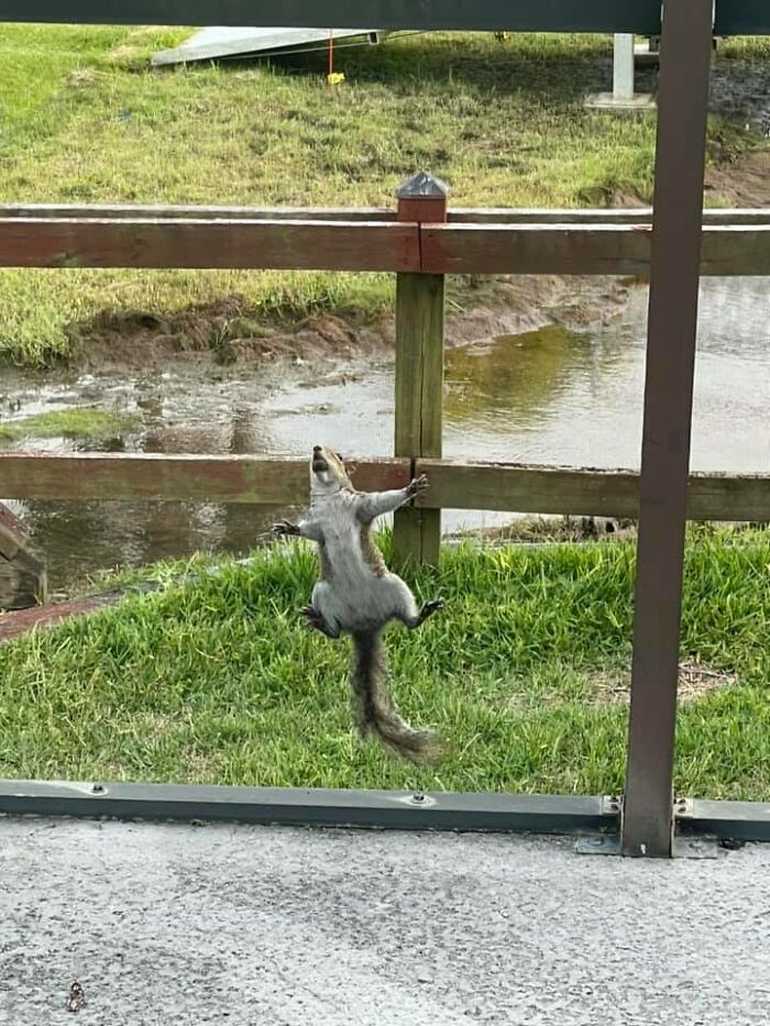 If I Hold Real Still, She Won't See Me