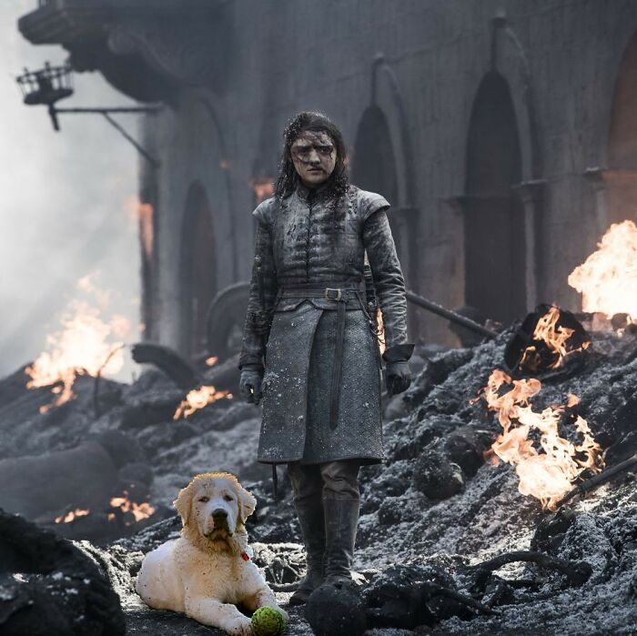 “I Am A Wolf And Will Not Be Afraid.”