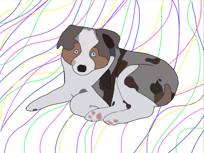 This Is Parker, Also My Favorite Animal, Dog