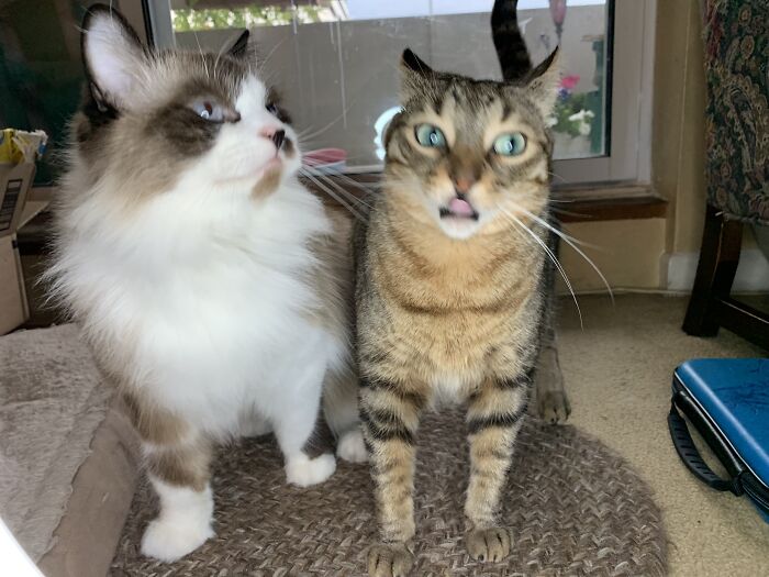 When Your Sibling Tests You