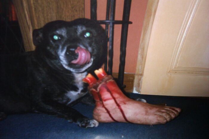 Max,after The Character From The Movie The Producers