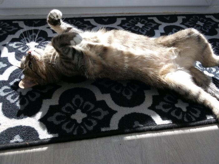 Miette From The City Of Lost Children (Means "Crumbs") Great Movie. I Wanted A Badass Name Because She Was So Weak. She Is 10 Yo :)