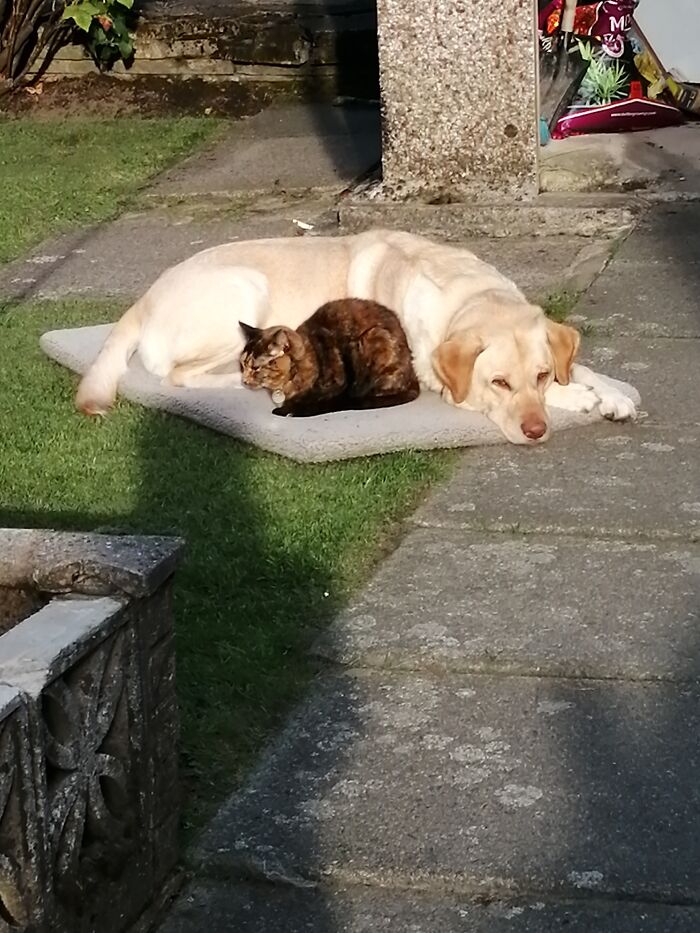 Alex With His Little Sister Willow