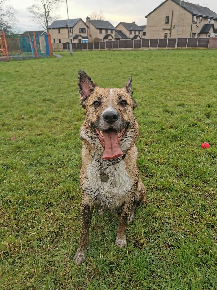 This Is Max, Latin Name Maximus Reckus,