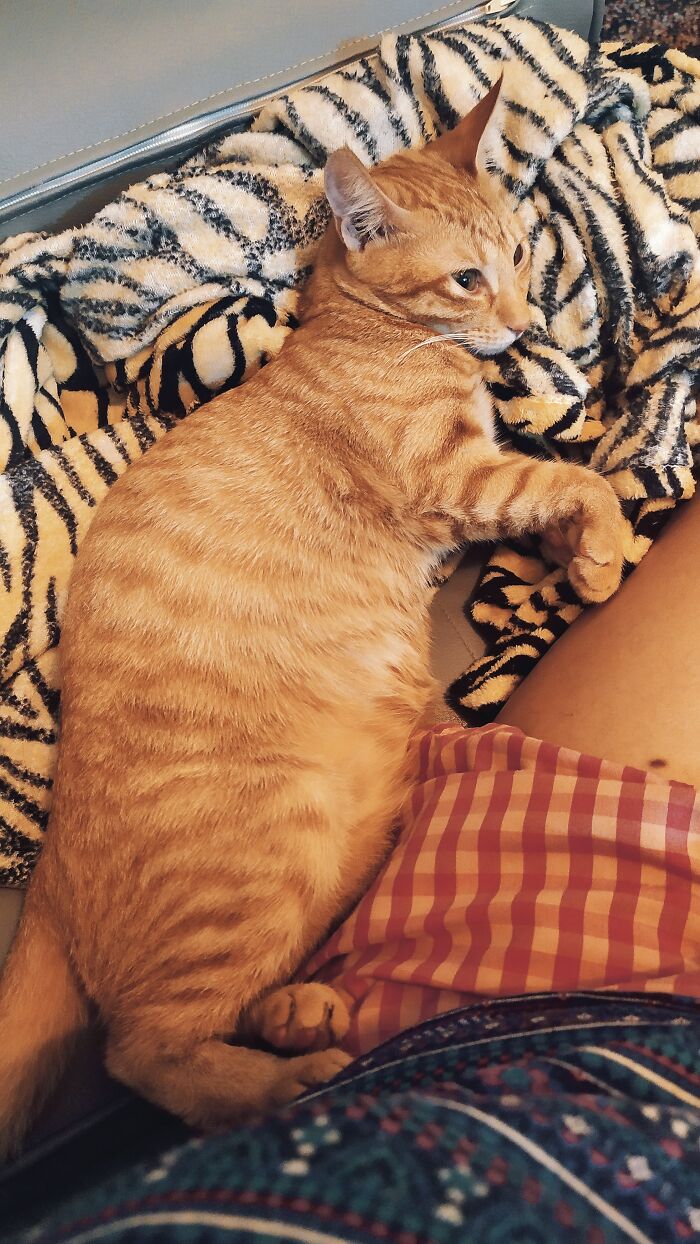 Meet Bobot. The Only Name She Would Respond To When She Was A Baby.