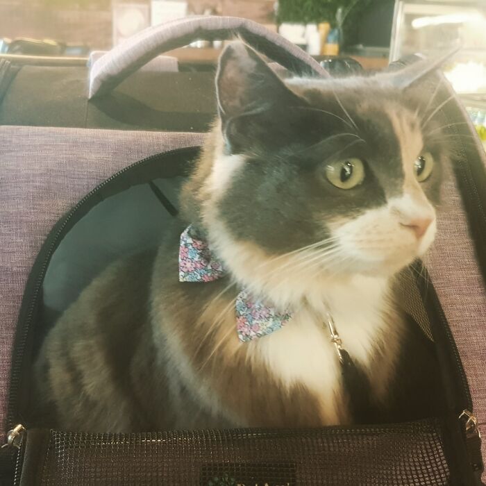 Spoilt Rotten. @gemmanought