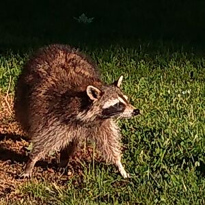 rgsmithonline avatar