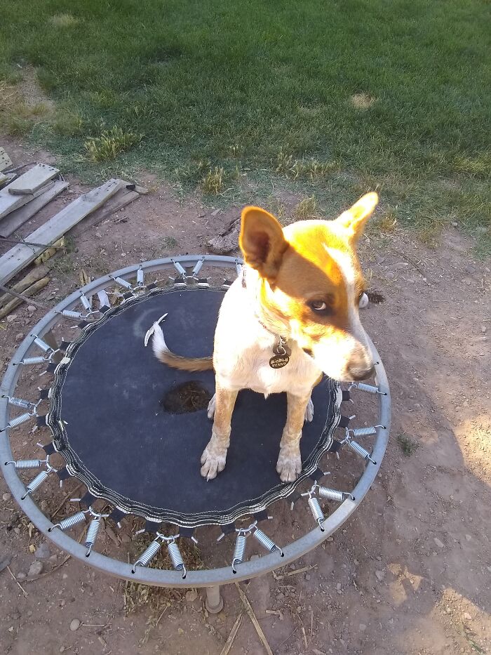 Benny Keeps His "Eye On The Ball"