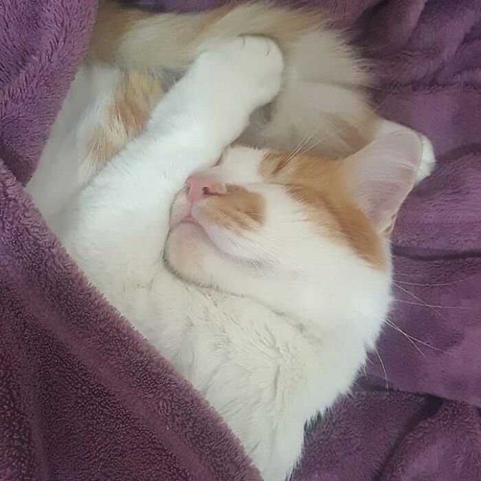 Mel, Kisses From Brazil