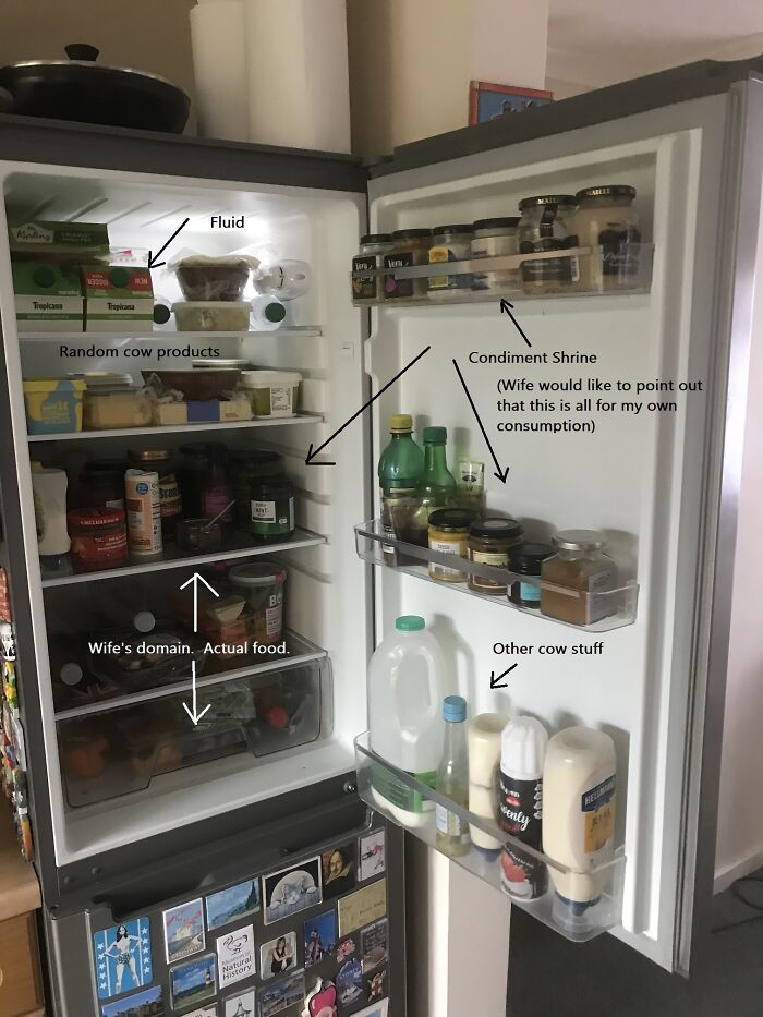 " The Fridge Is Unaware That Everything It Closes On Is Living Without Air" - Burn Your House Brown, Cardiacs