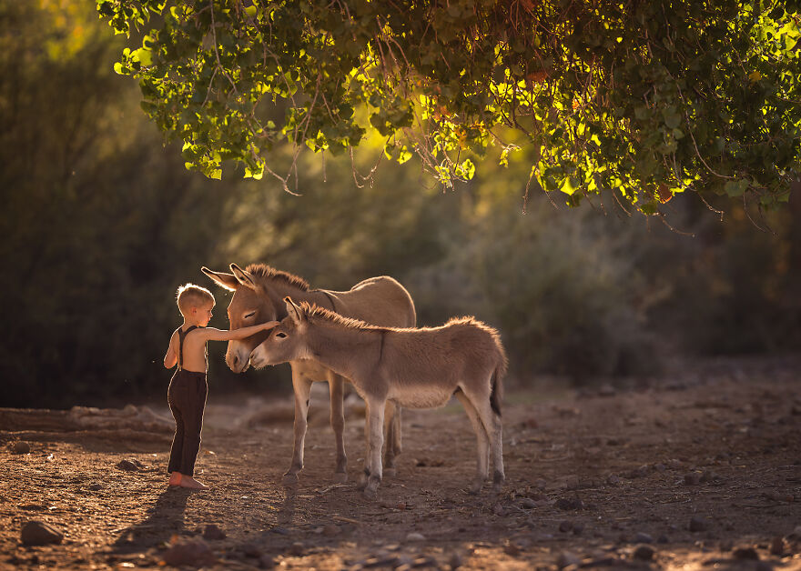 I Love Photographing The Gentle Nature Of My Children With Animals