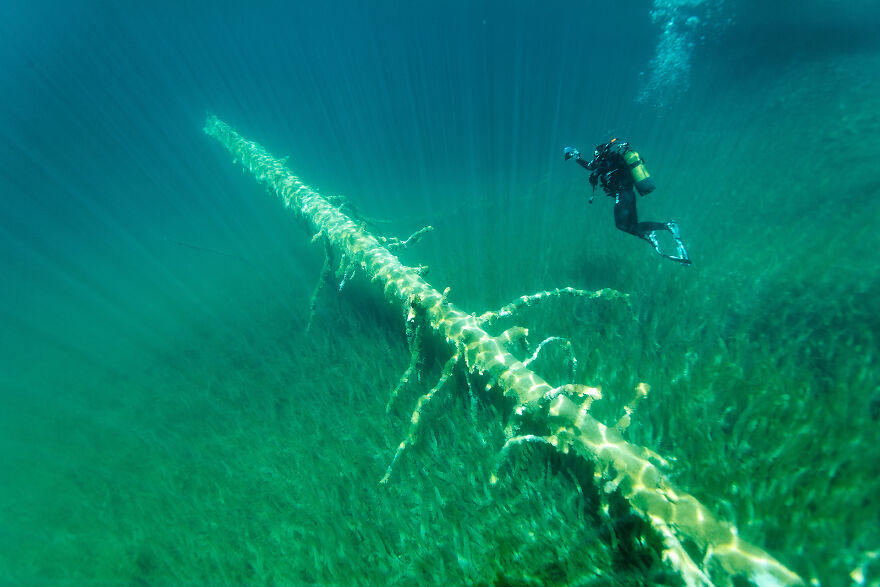 I Swam Across, Flew Over, Dived Into, And Hiked Along The Magnificent Plitvice Lakes In Croatia
