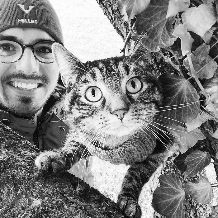 Meet Cathode, The Cat That Has Incredible Adventures With Its Owner