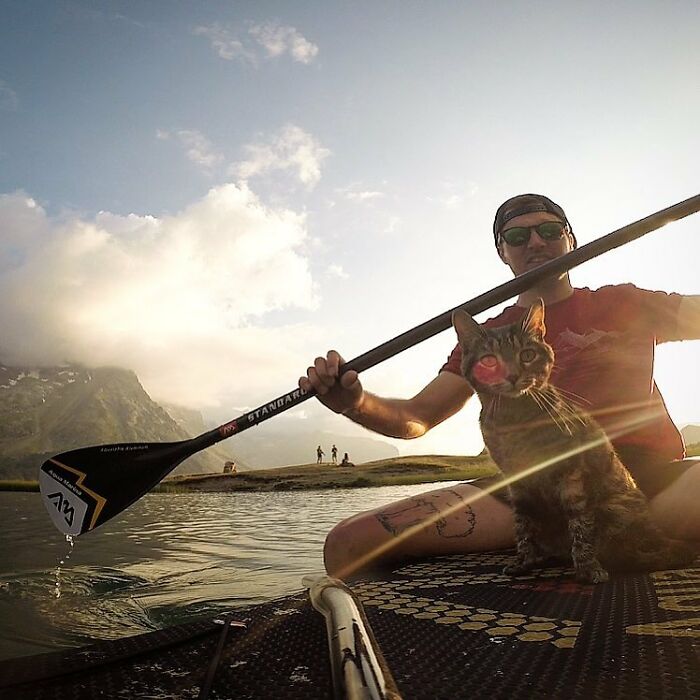 Meet Cathode, The Cat That Has Incredible Adventures With Its Owner