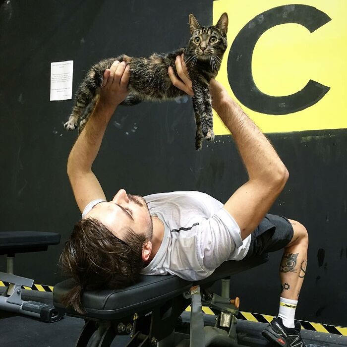 Meet Cathode, The Cat That Has Incredible Adventures With Its Owner