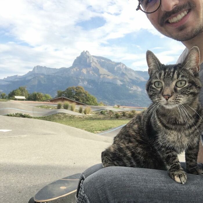 Meet Cathode, The Cat That Has Incredible Adventures With Its Owner