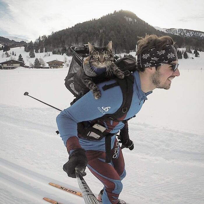 Meet Cathode, The Cat That Has Incredible Adventures With Its Owner