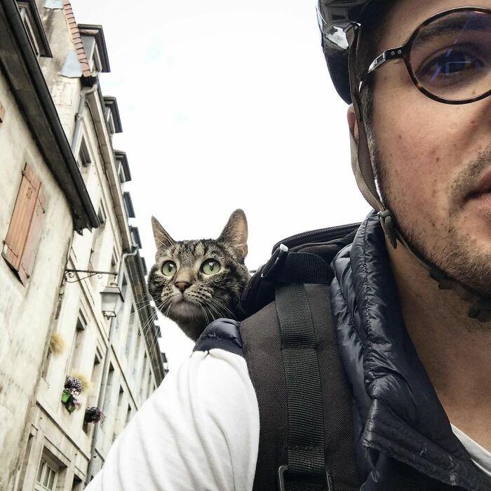 Meet Cathode, The Cat That Has Incredible Adventures With Its Owner