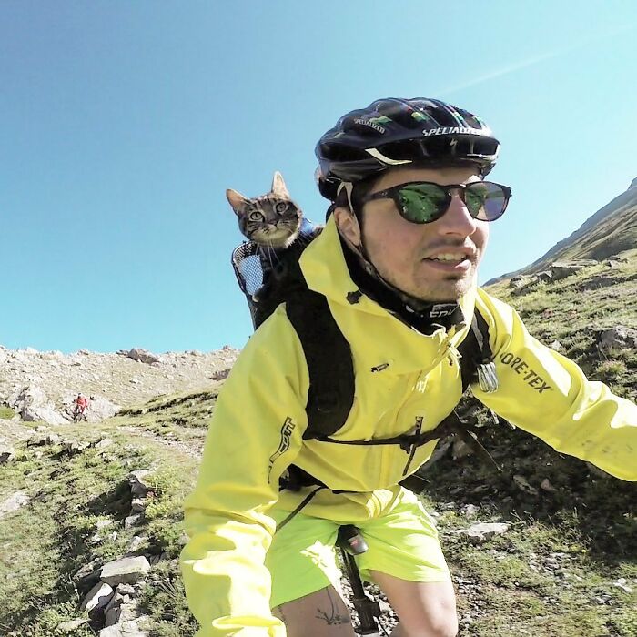 Meet Cathode, The Cat That Has Incredible Adventures With Its Owner