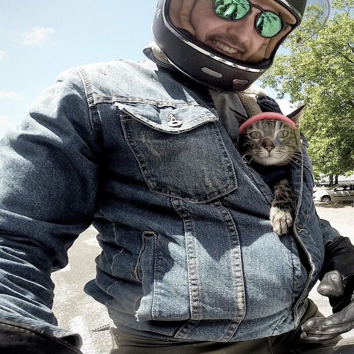 Meet Cathode, The Cat That Has Incredible Adventures With Its Owner