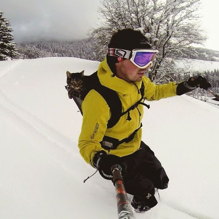 Meet Cathode, The Cat That Has Incredible Adventures With Its Owner
