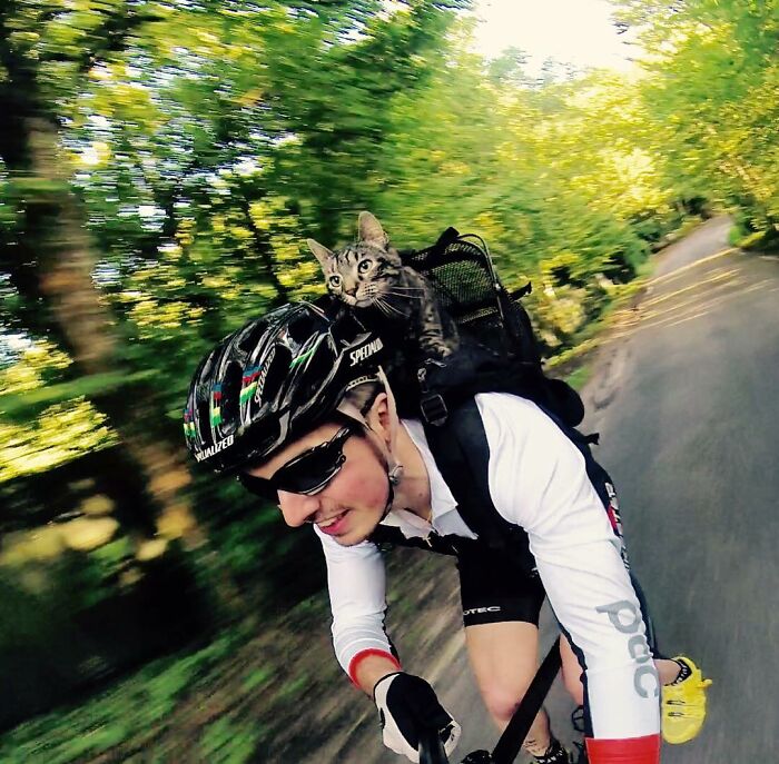 Meet Cathode, The Cat That Has Incredible Adventures With Its Owner