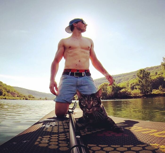 Meet Cathode, The Cat That Has Incredible Adventures With Its Owner