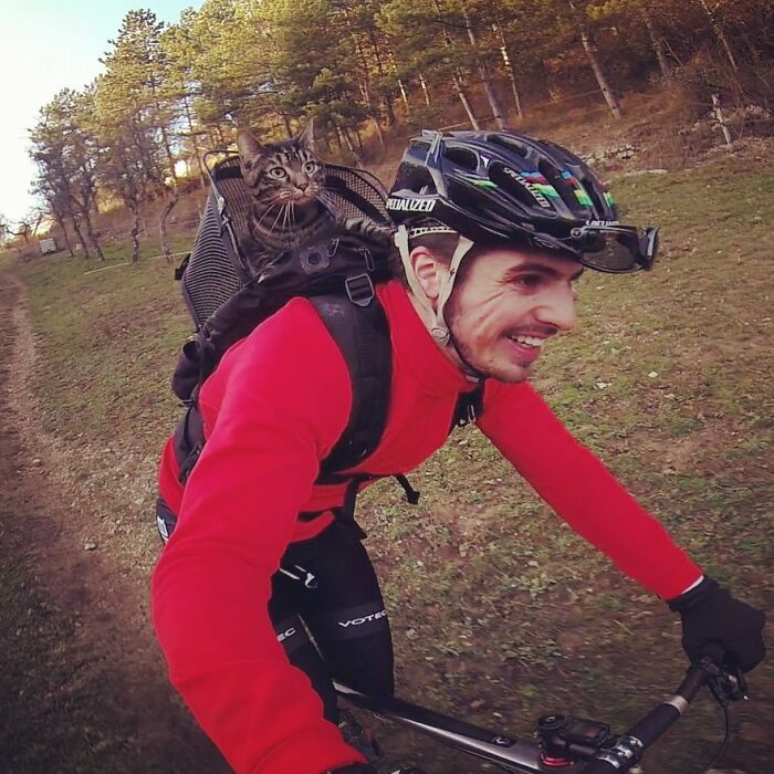 Meet Cathode, The Cat That Has Incredible Adventures With Its Owner