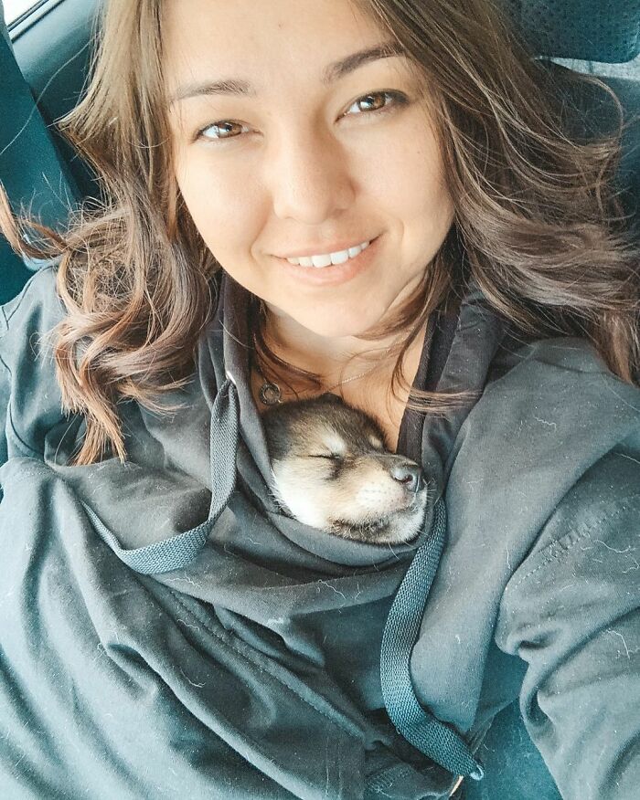 Woman Adopts A Wolf Cub From A Shelter Because It Wouldn't Have Survived In The Wild Woman Adopts A Wolf Cub From A Shelter Because It Wouldn't Have Survived In The Wild