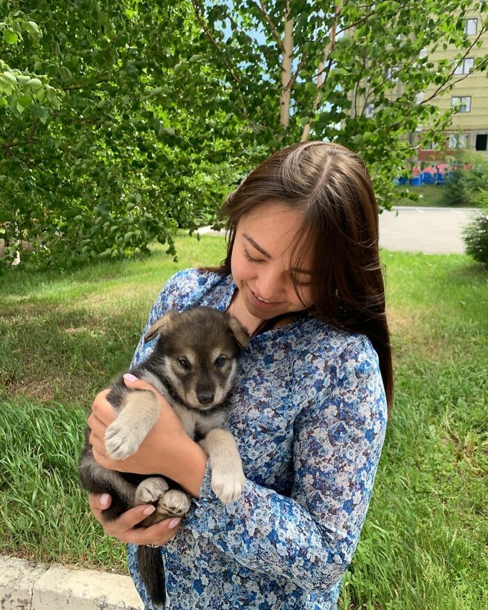 Woman Adopts A Wolf Cub From A Shelter Because It Wouldn't Have Survived In The Wild
