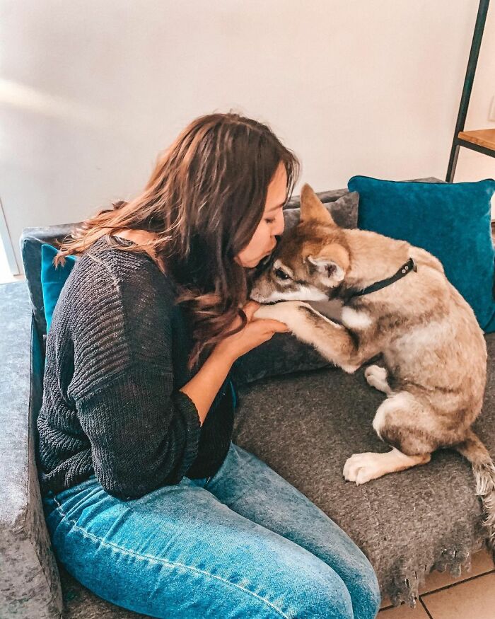 Woman Adopts A Wolf Cub From A Shelter Because It Wouldn't Have Survived In The Wild