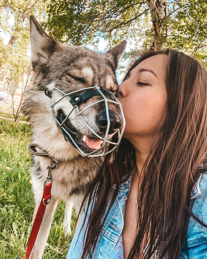 Woman Adopts A Wolf Cub From A Shelter Because It Wouldn't Have Survived In The Wild Woman Adopts A Wolf Cub From A Shelter Because It Wouldn't Have Survived In The Wild
