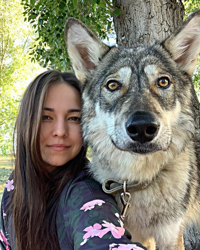 Woman Adopts A Wolf Cub From A Shelter Because It Wouldn't Have Survived In The Wild Woman Adopts A Wolf Cub From A Shelter Because It Wouldn't Have Survived In The Wild