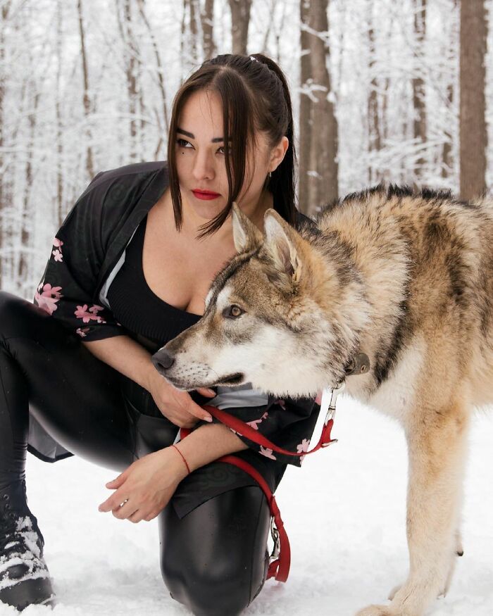 Woman Adopts A Wolf Cub From A Shelter Because It Wouldn't Have Survived In The Wild Woman Adopts A Wolf Cub From A Shelter Because It Wouldn't Have Survived In The Wild