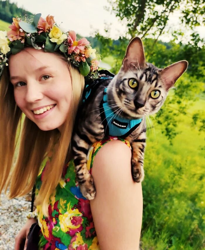 This Very Talented Cat Can Perform Over 50 Amazing Tricks