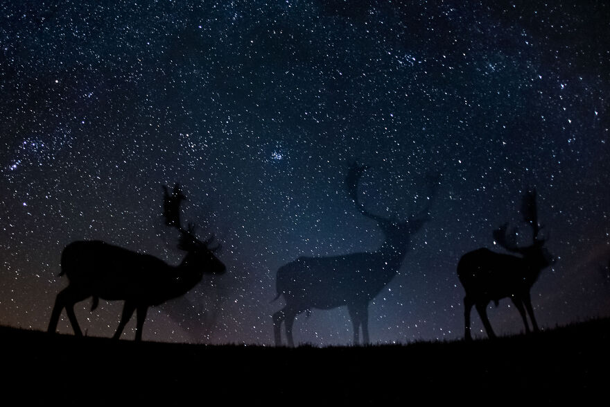 "Starry Night" By Bence Máté