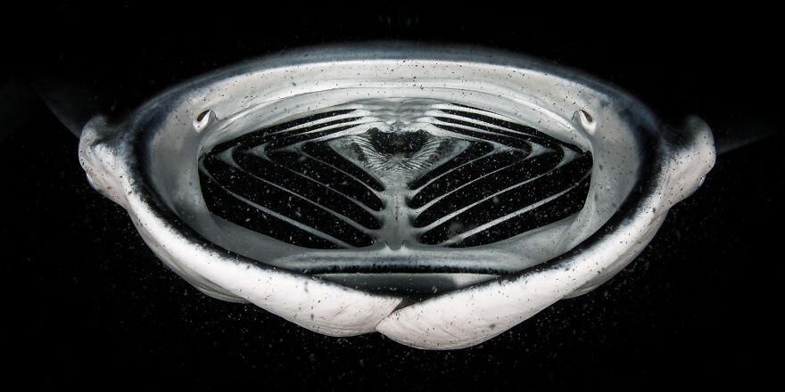 "Manta Space Ship" By Grant Thomas