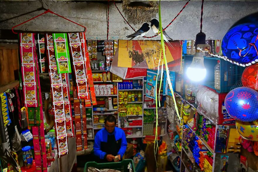 "Winged Family Members" By Kallol Mukherjee