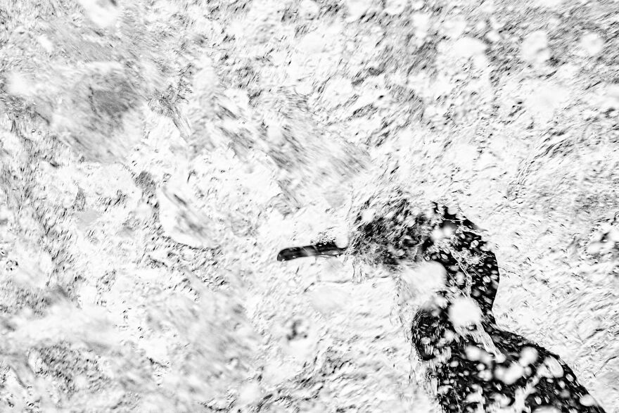 "Wave Break" By James Roddie