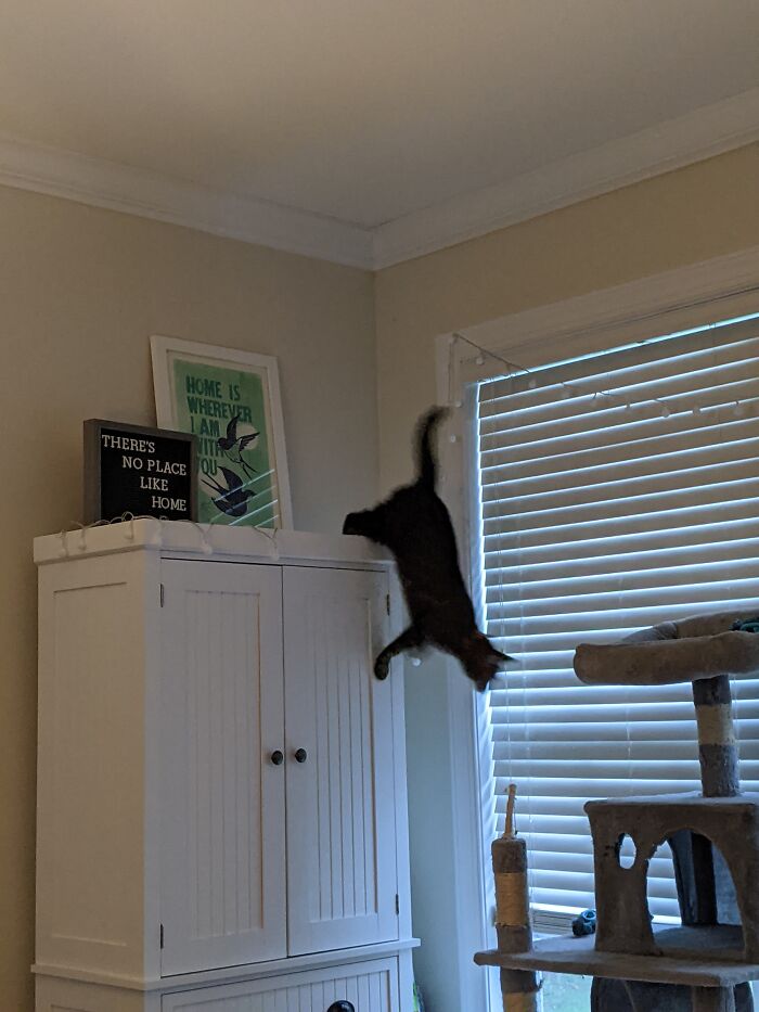 I'm Falling For You! No, Wait. I'm Just Falling.