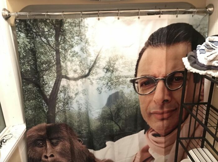 The Bathroom Goldblum