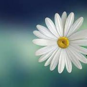 jonesstacey22 avatar