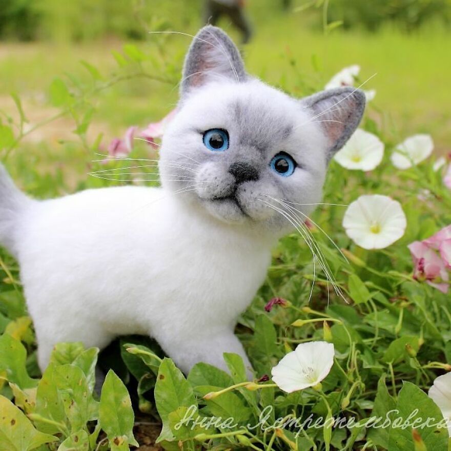 Russian Artist Creates Incredibly Realistic Little Animals Made Entirely Of Wool (New Pics)